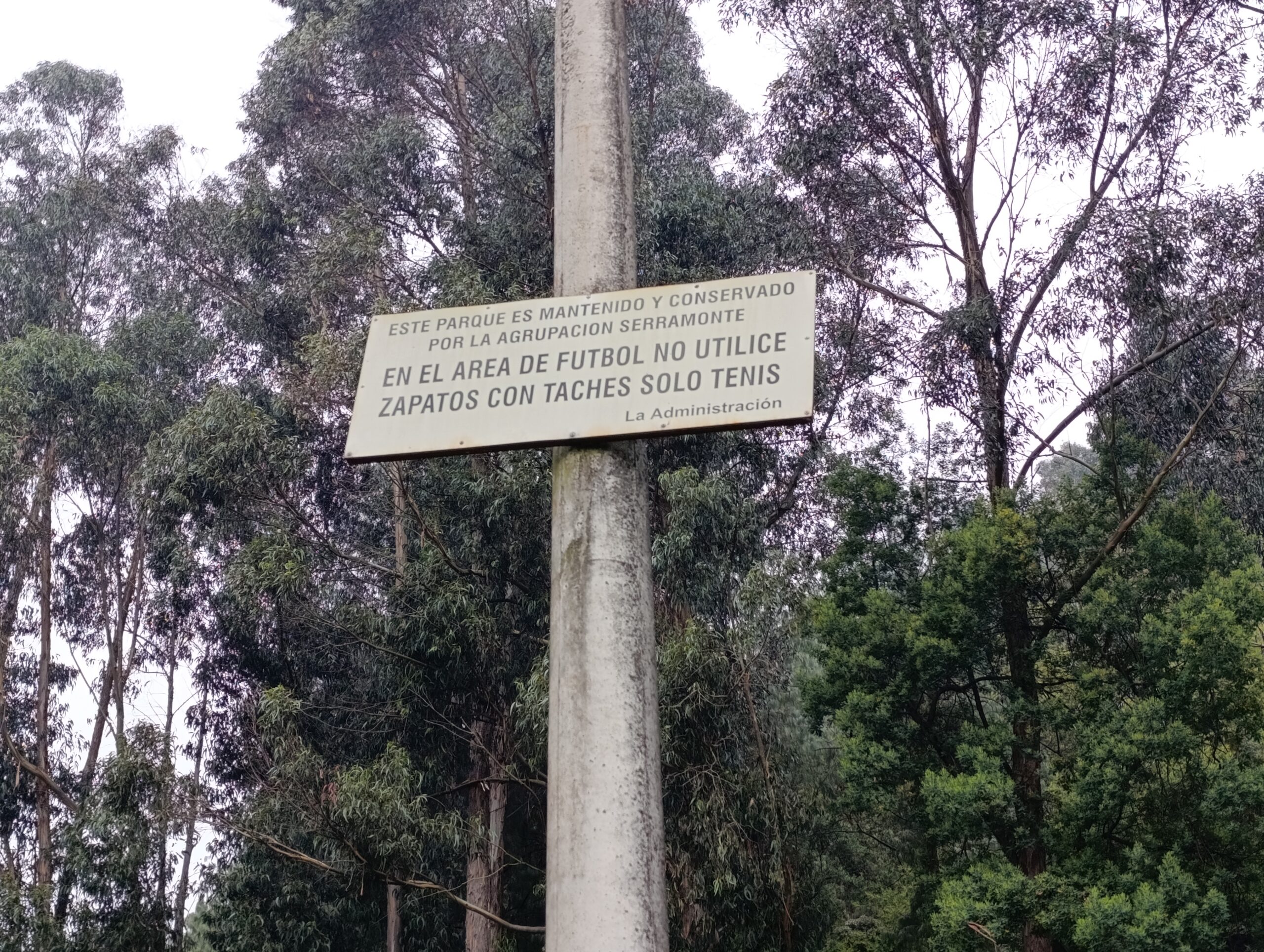 Historias del verde urbano: ¡La tercera localidad más arbolada de Bogotá aumenta su verde!