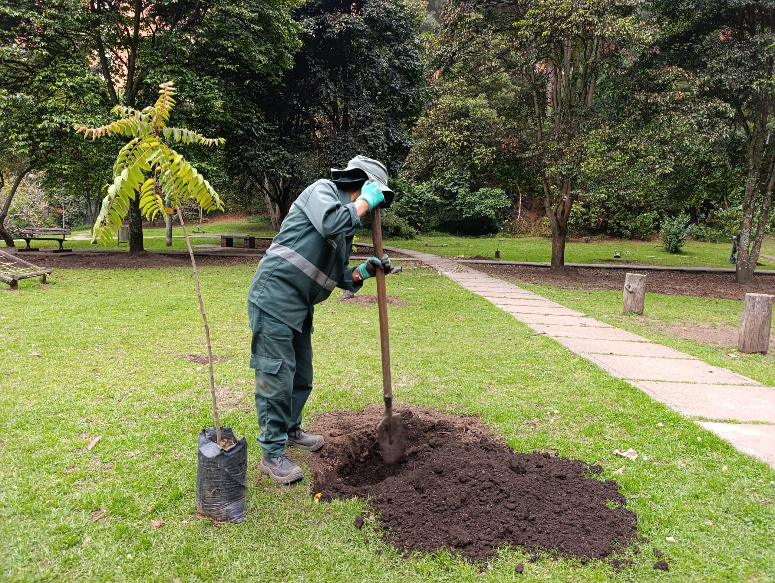 Historias del verde urbano: ¡La tercera localidad más arbolada de Bogotá aumenta su verde!