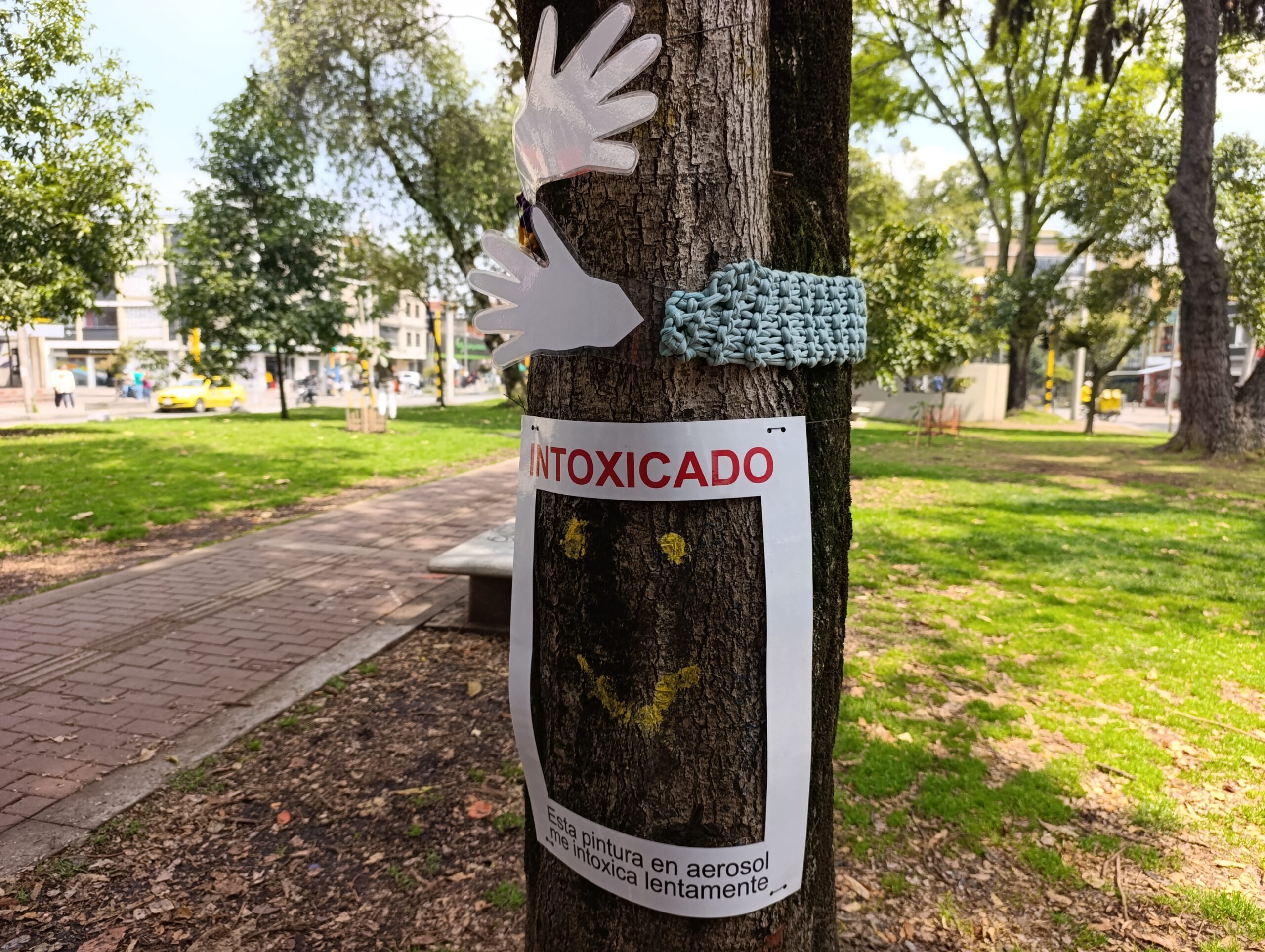 Historias del verde urbano: Instalación consciente: un llamado al respeto y protección de los árboles del Parkway
