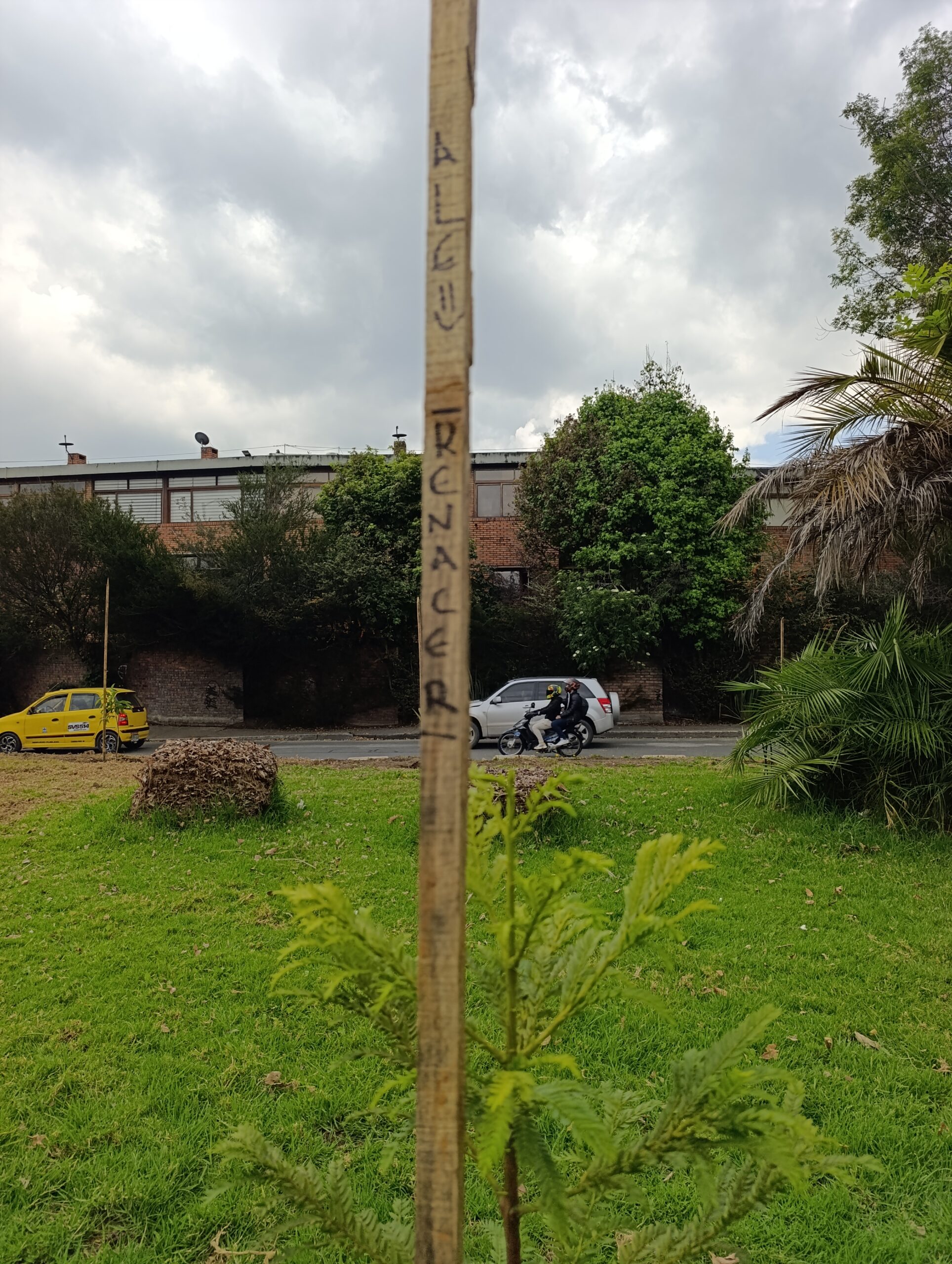 Historias del verde urbano: Homenaje a la vida y las nuevas oportunidades en Barrios Unidos