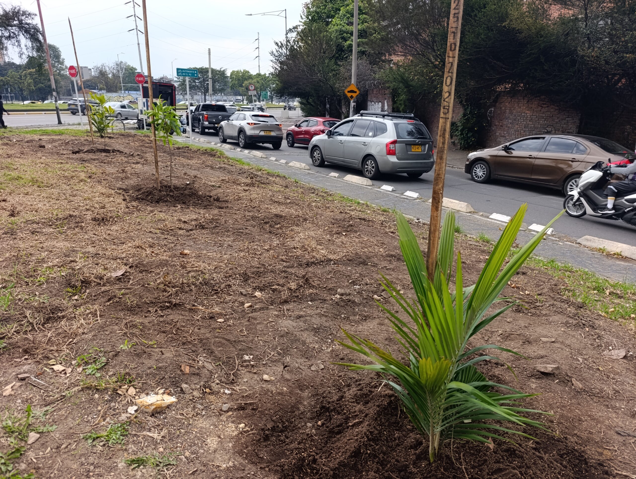 Historias del verde urbano: Homenaje a la vida y las nuevas oportunidades en Barrios Unidos