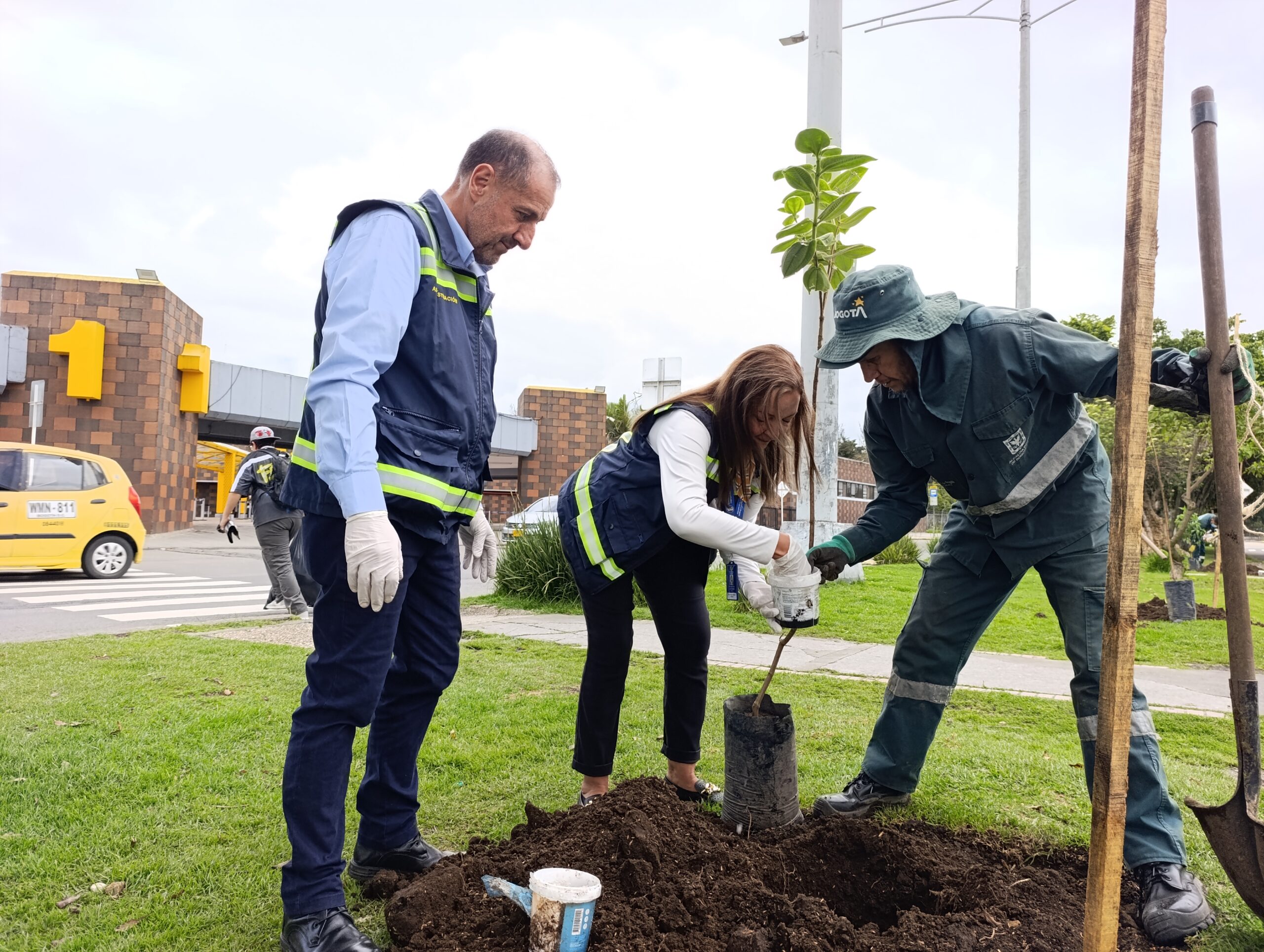 Historias del verde urbano: ¡La Terminal de Transporte del Salitre renaturaliza su camino verde!