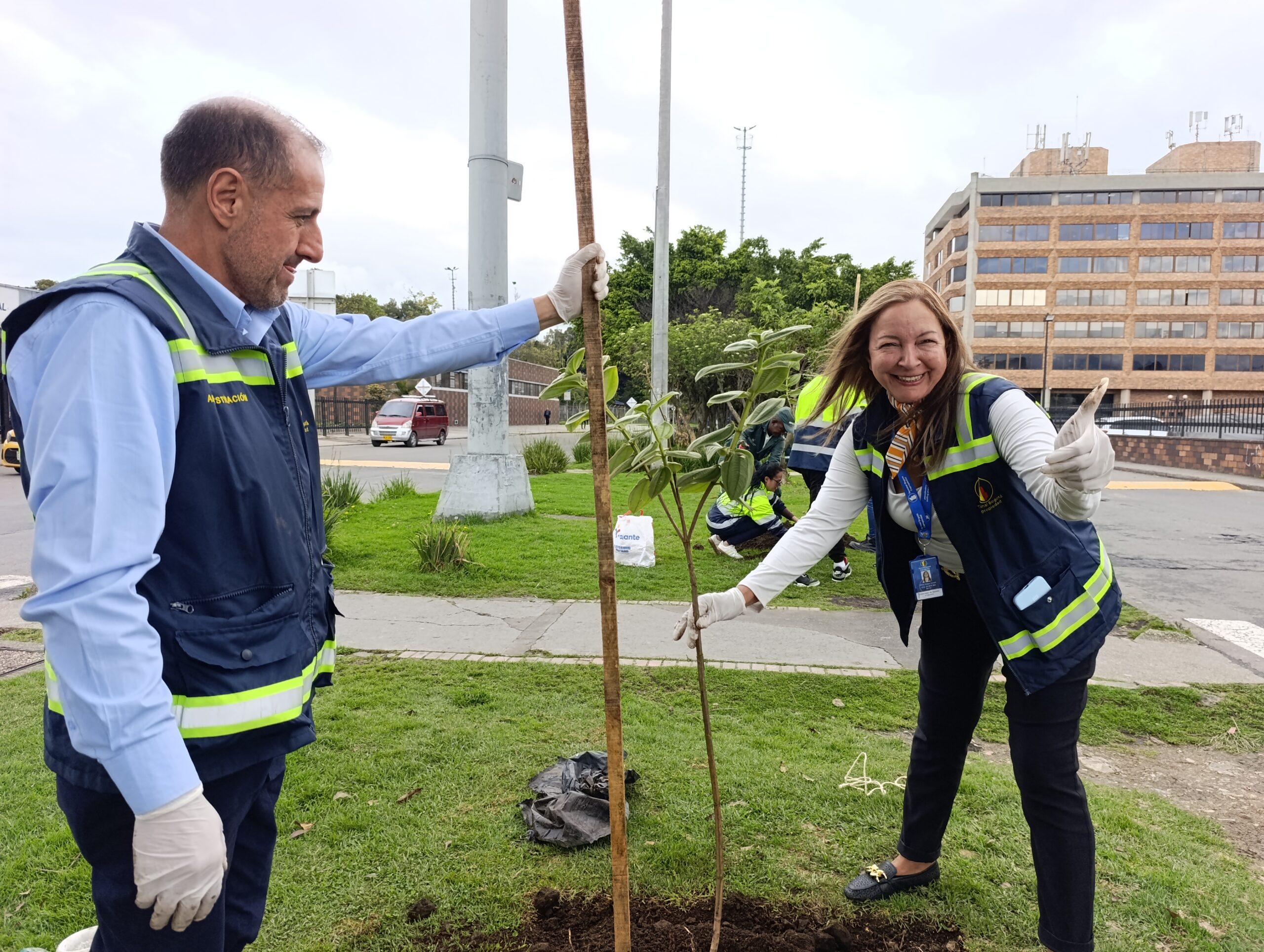Historias del verde urbano: ¡La Terminal de Transporte del Salitre renaturaliza su camino verde!