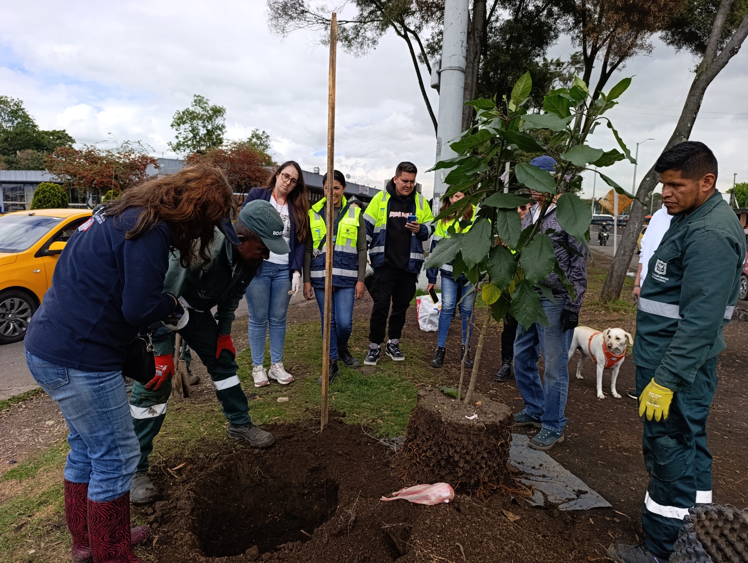 Historias del verde urbano: ¡La Terminal de Transporte del Salitre renaturaliza su camino verde!