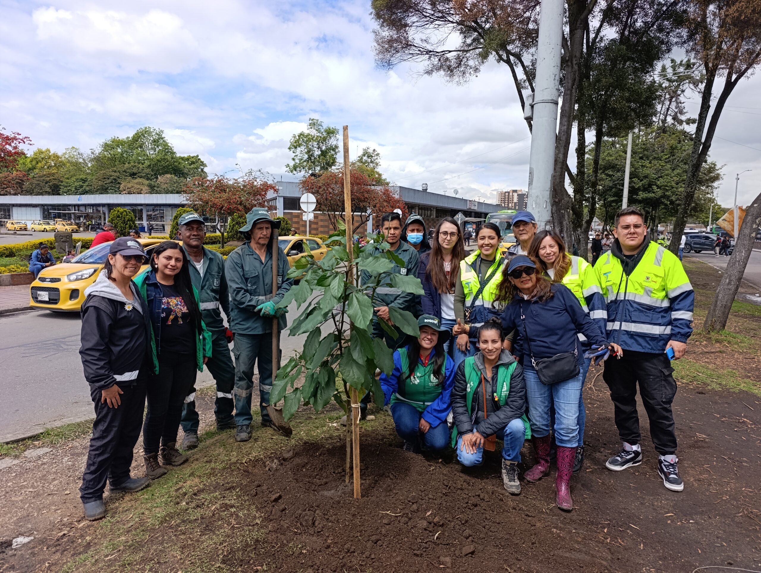 Historias del verde urbano: ¡La Terminal de Transporte del Salitre renaturaliza su camino verde!