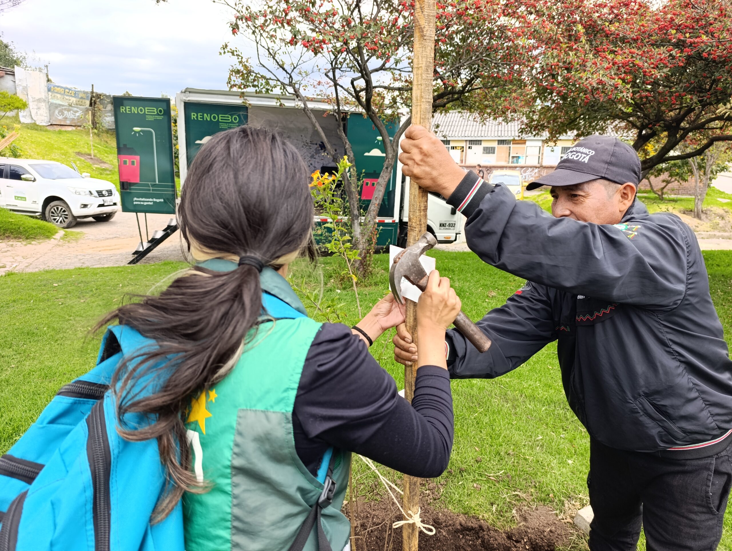 Historias del verde urbano: San Blas: un parque de San Cristóbal que se renaturalizó con ocho especies arbóreas y arbustivas