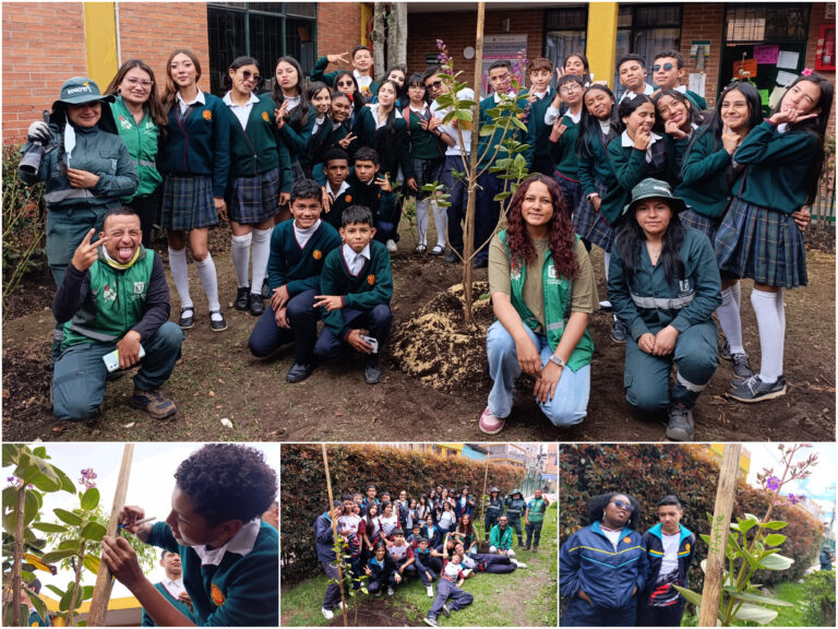 Historias del verde urbano: Uno de los colegios más antiguos de Bosa se renaturaliza con especies nativas