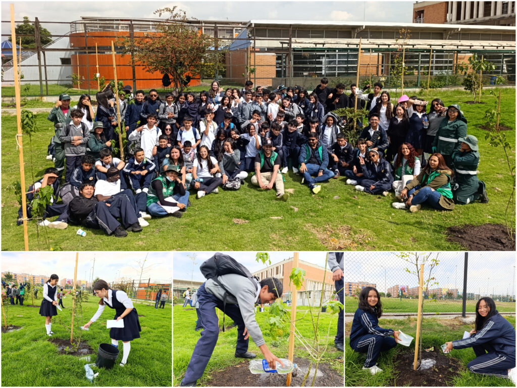 Historias del verde urbano: Ciudadela Educativa de Bosa: un colegio comprometido con el cuidado del arbolado
