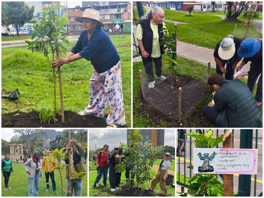 Historias del verde urbano: ¡89 nuevos árboles y arbustos en Engativá, Fontibón y Santa Fe!