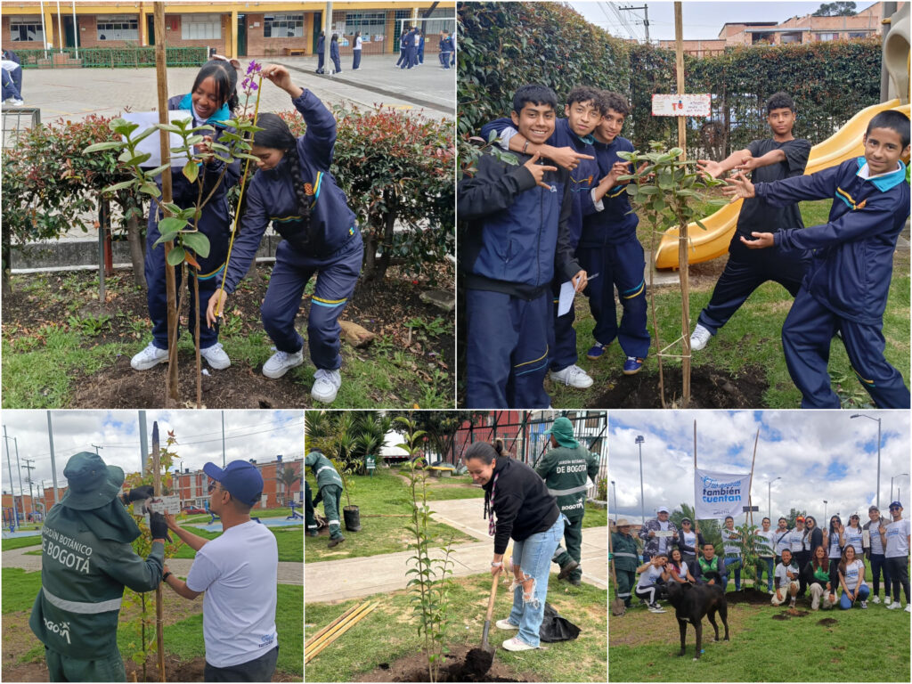 Historias del verde urbano: El sur de Bogotá se renaturaliza con la comunidad estudiantil y la empresa privada