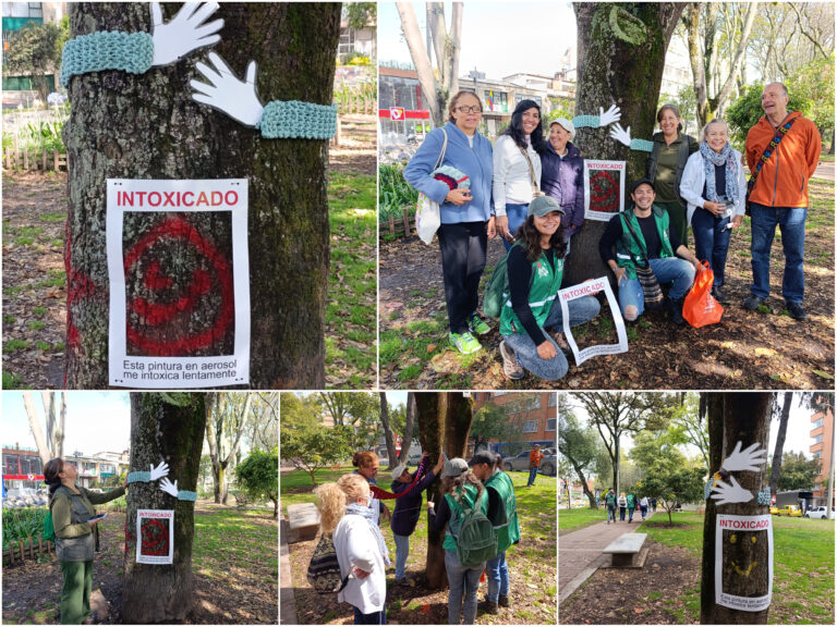 Historias del verde urbano: Instalación consciente: un llamado al respeto y protección de los árboles del Parkway
