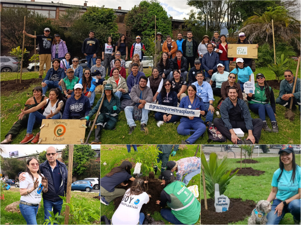 Historias del verde urbano: Homenaje a la vida y las nuevas oportunidades en Barrios Unidos