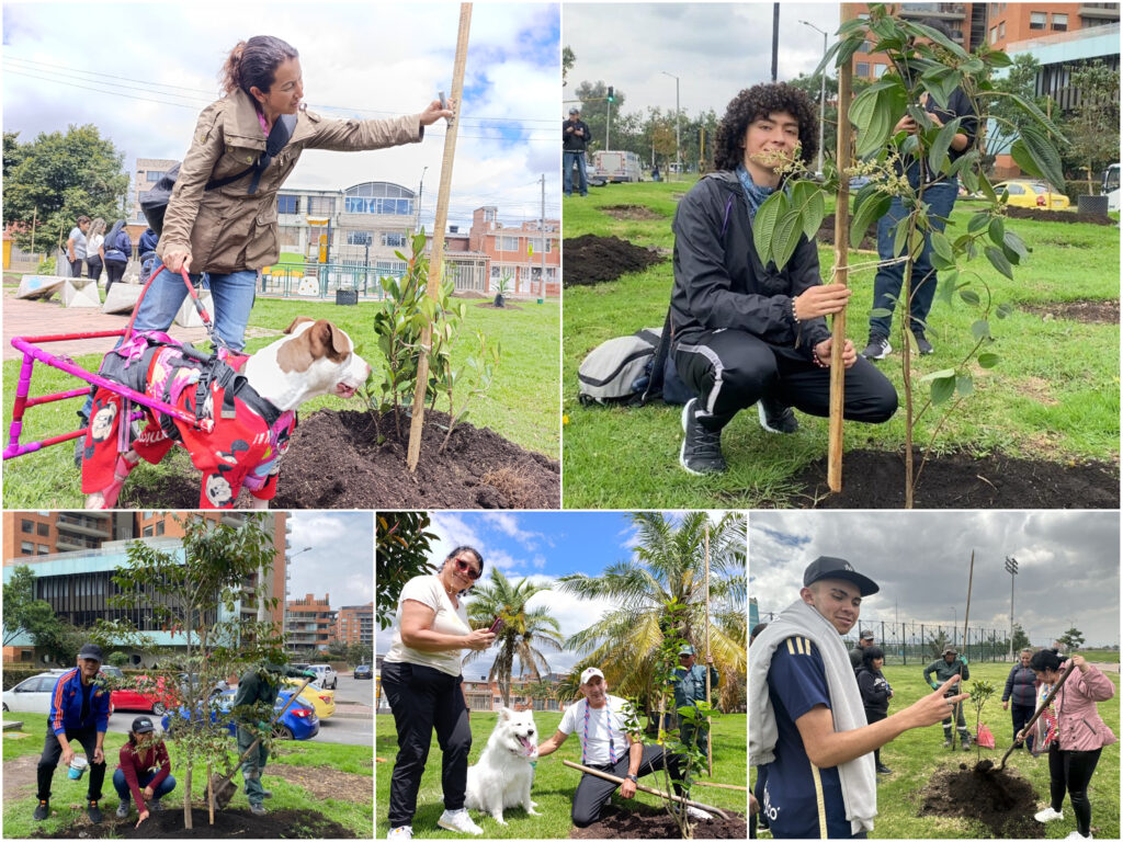 Historias del verde urbano: Bogotá se sumó al llamado planetario contra el cambio climático con la plantación de 205 árboles y arbustos