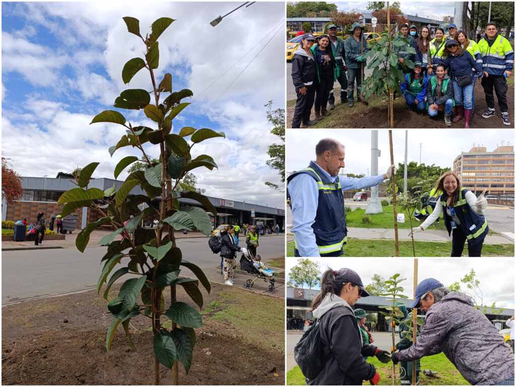 Historias del verde urbano: ¡La Terminal de Transporte del Salitre renaturaliza su camino verde!