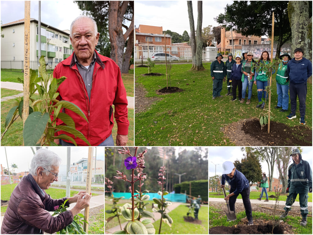 Historias del verde urbano: ¡La tercera localidad más arbolada de Bogotá aumenta su verde!