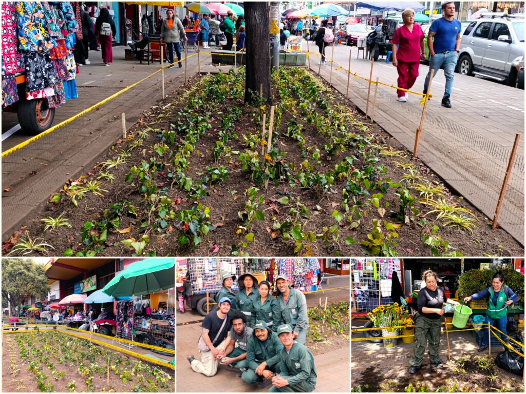 Historias del verde urbano: El renacer de los jardines de la plaza de mercado del Restrepo