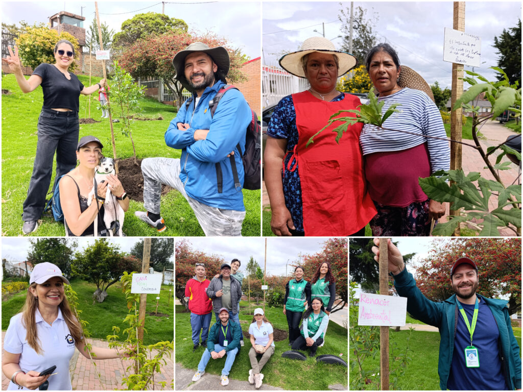 Historias del verde urbano: San Blas: un parque de San Cristóbal que se renaturalizó con ocho especies arbóreas y arbustivas