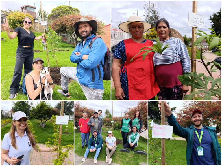 Historias del verde urbano: San Blas: un parque de San Cristóbal que se renaturalizó con ocho especies arbóreas y arbustivas