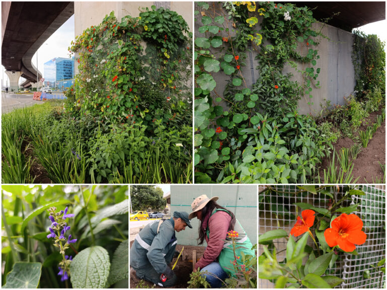 Historias del verde urbano: ¡El puente vehicular curvo de la avenida 68 con calle 26 florece con jardines biodiversos!