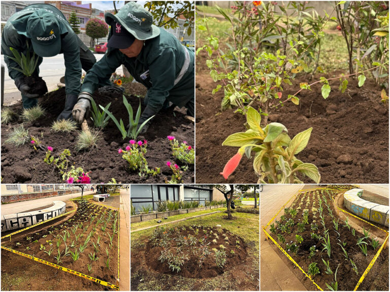 Historias del verde urbano: ¡Kennedy recuperó 114 metros cuadrados de jardineras!