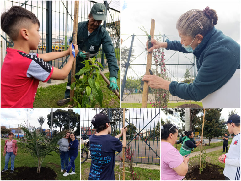 Historias del verde urbano: La plantación que pintó con más colores el parque La Almería