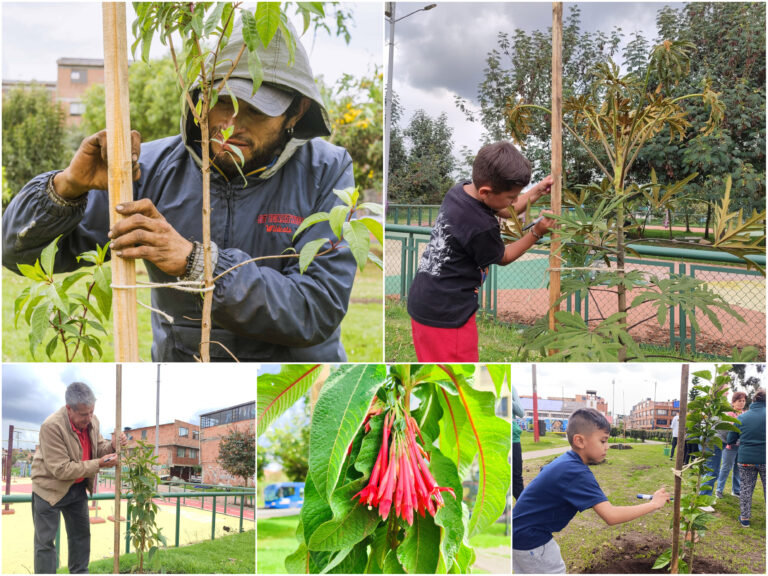 Historias del verde urbano: Bogotá recibió 295 “regalos verdes” en la celebración del Día Mundial del Árbol