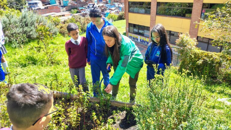 Tejiendo territorios: Minga por la tierra: aprendizaje y comunidad en el corazón de Santa Fe