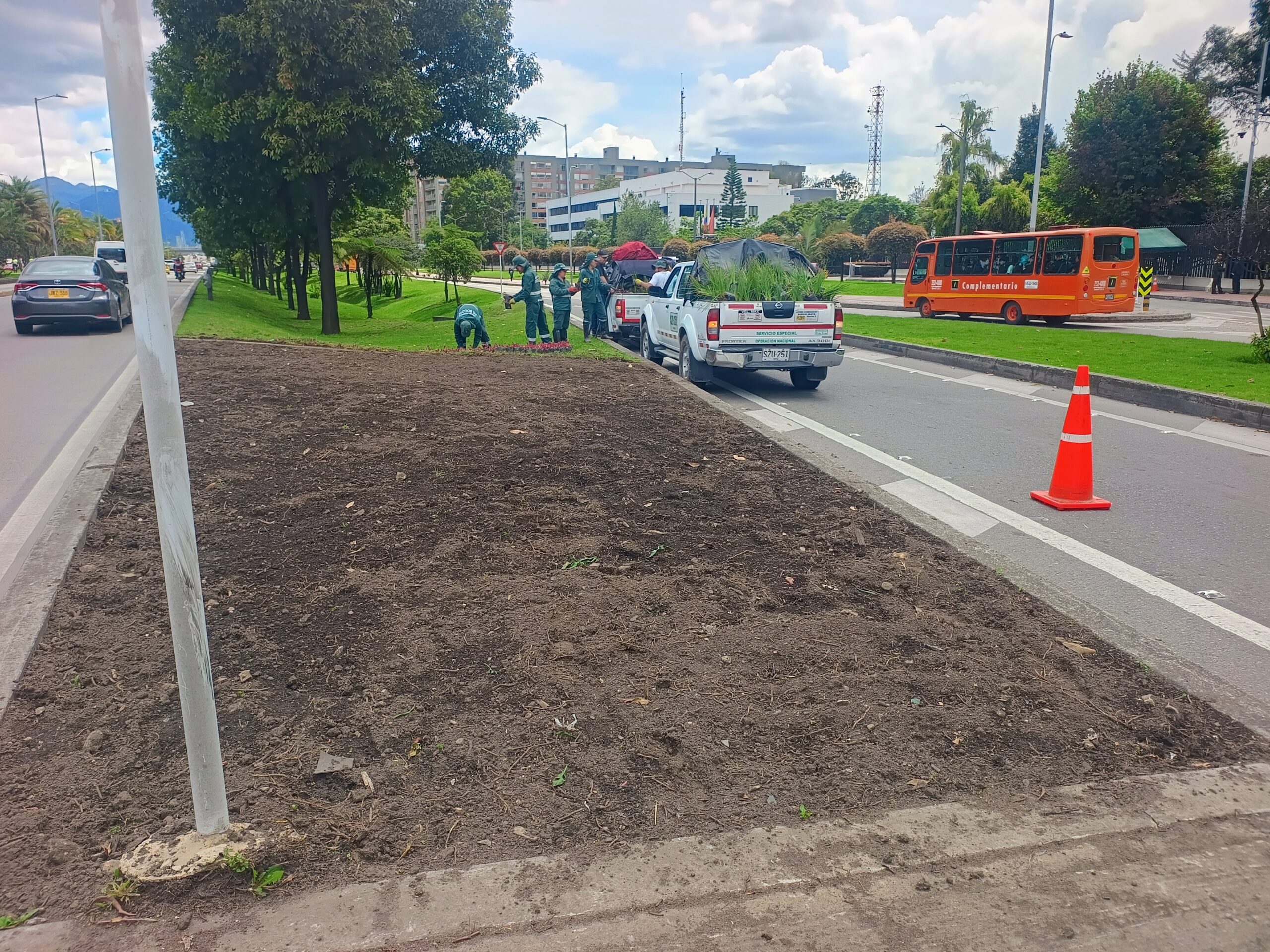 Historias del verde urbano: ¡Florece la avenida más verde y arbolada de Bogotá!