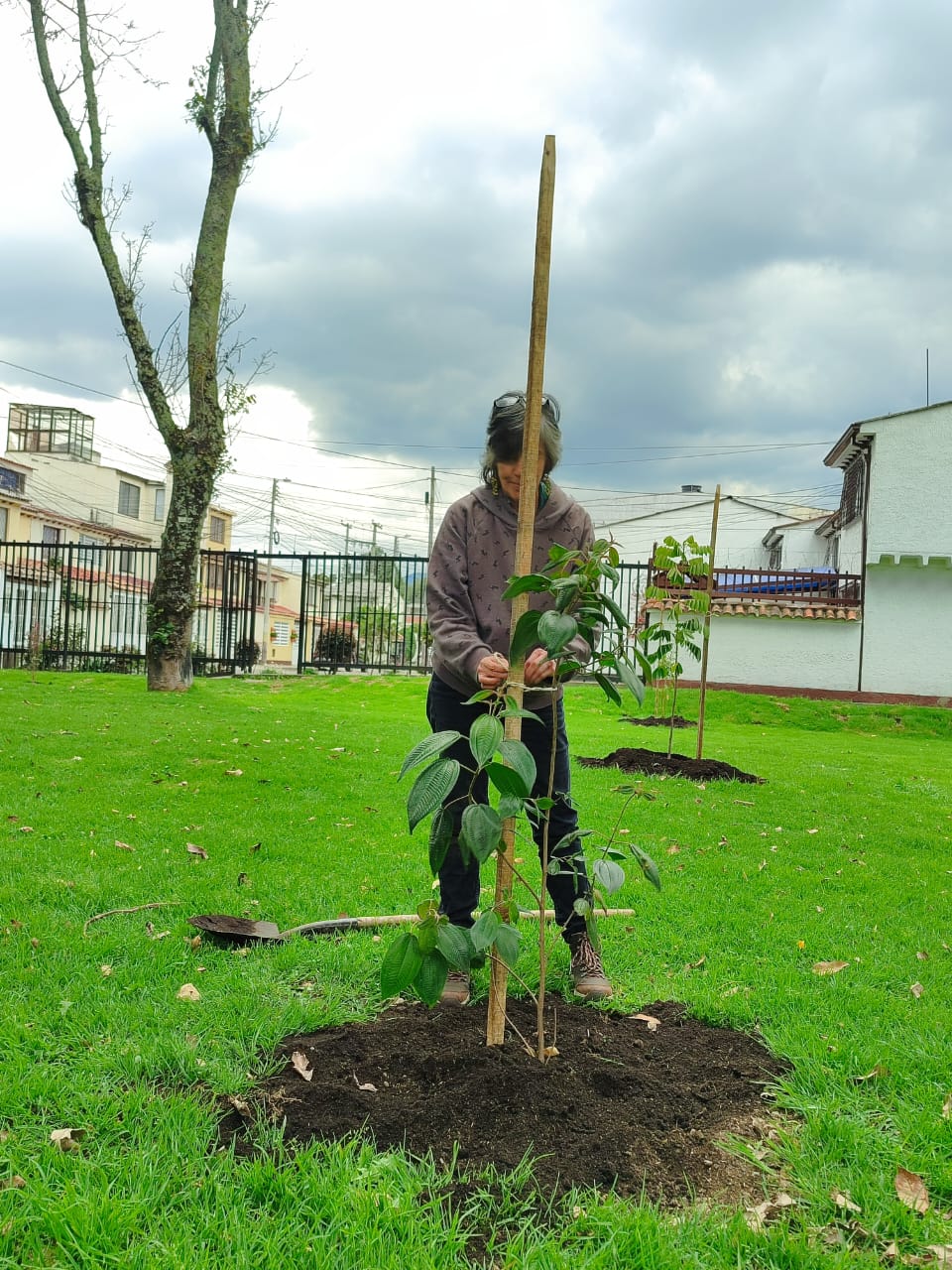 Historias del verde urbano: ¡Suba renaturaliza 14 de sus parques!