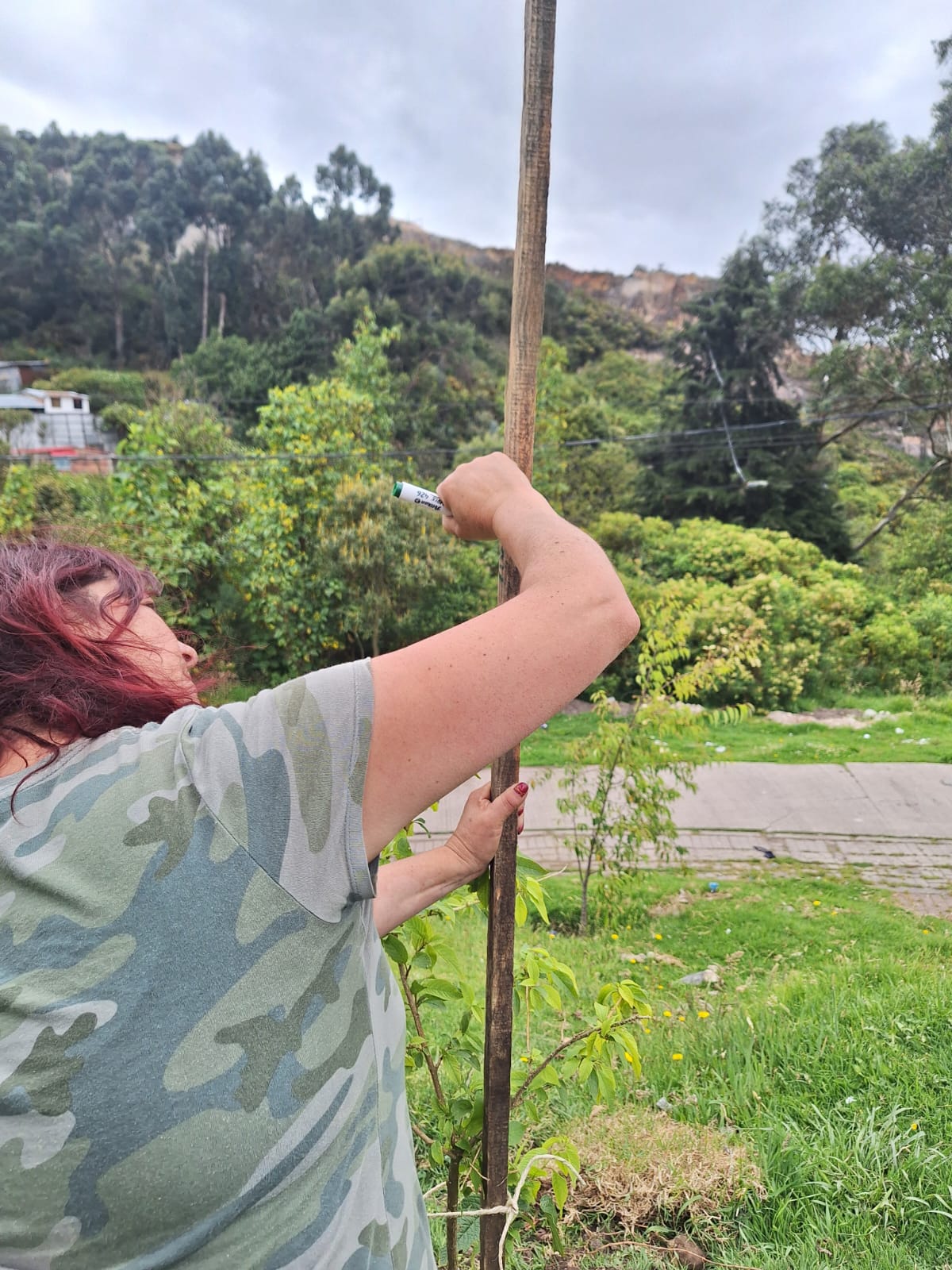 Historias del verde urbano: Engativá, Fontibón, San Cristóbal, Barrios Unidos y Usaquén renaturalizaron varios de sus parques y corredores viales