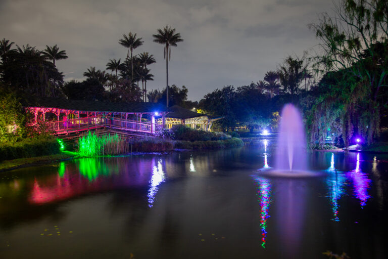 La Magia Natural llega al Jardín Botánico Una Navidad inspiradora con nuevas y mejores experiencias para los visitantes