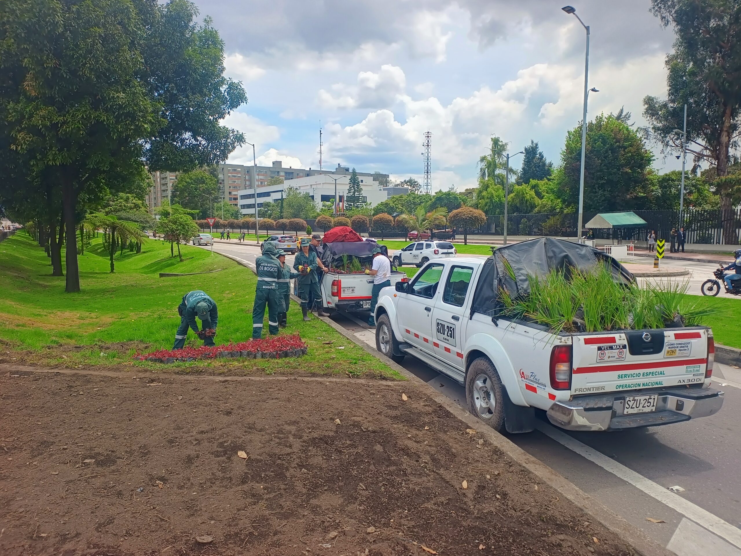 Historias del verde urbano: ¡Florece la avenida más verde y arbolada de Bogotá!