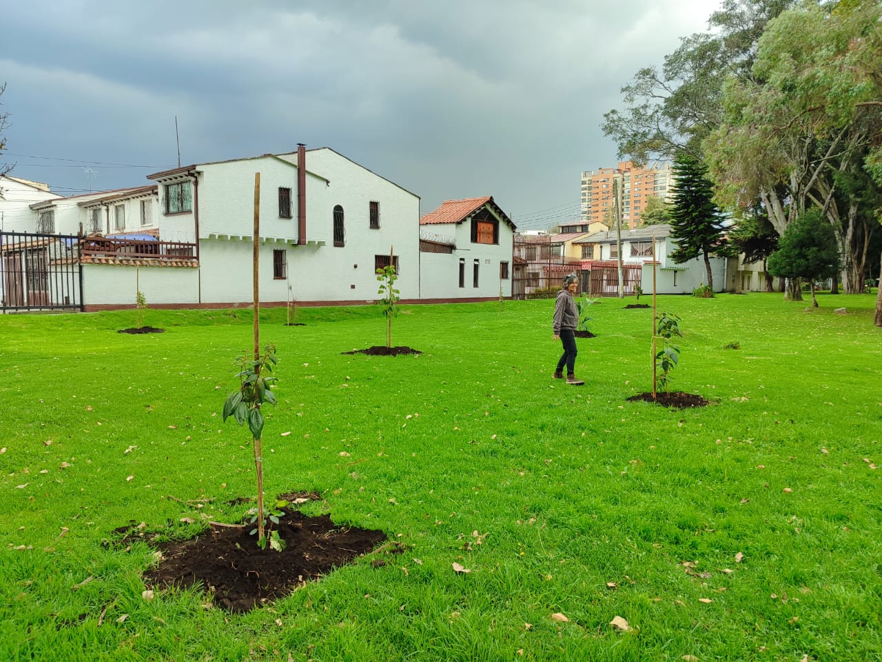 Historias del verde urbano: ¡Suba renaturaliza 14 de sus parques!