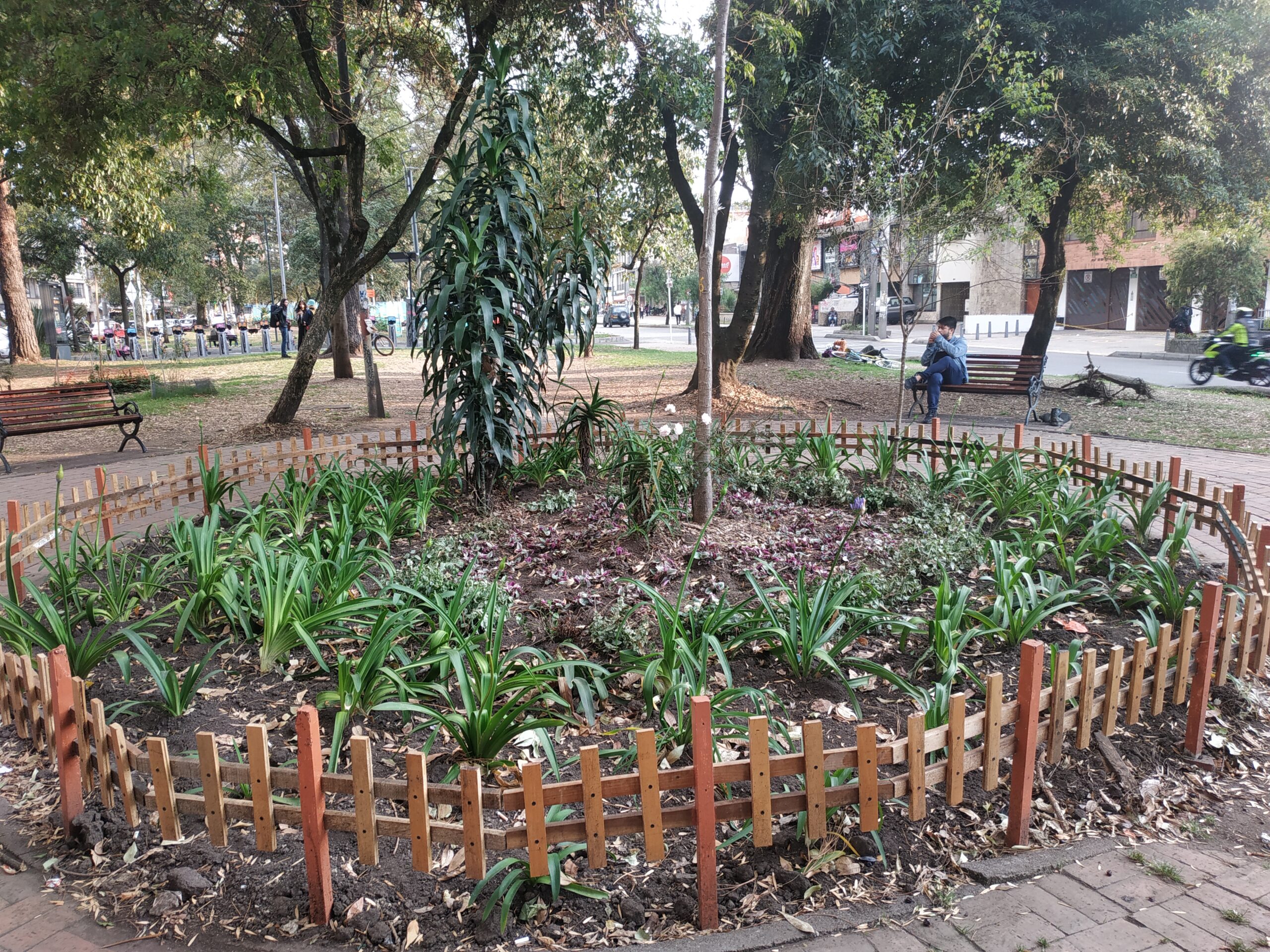 Historias del verde urbano: Proyecciones jardineras en el Parkway