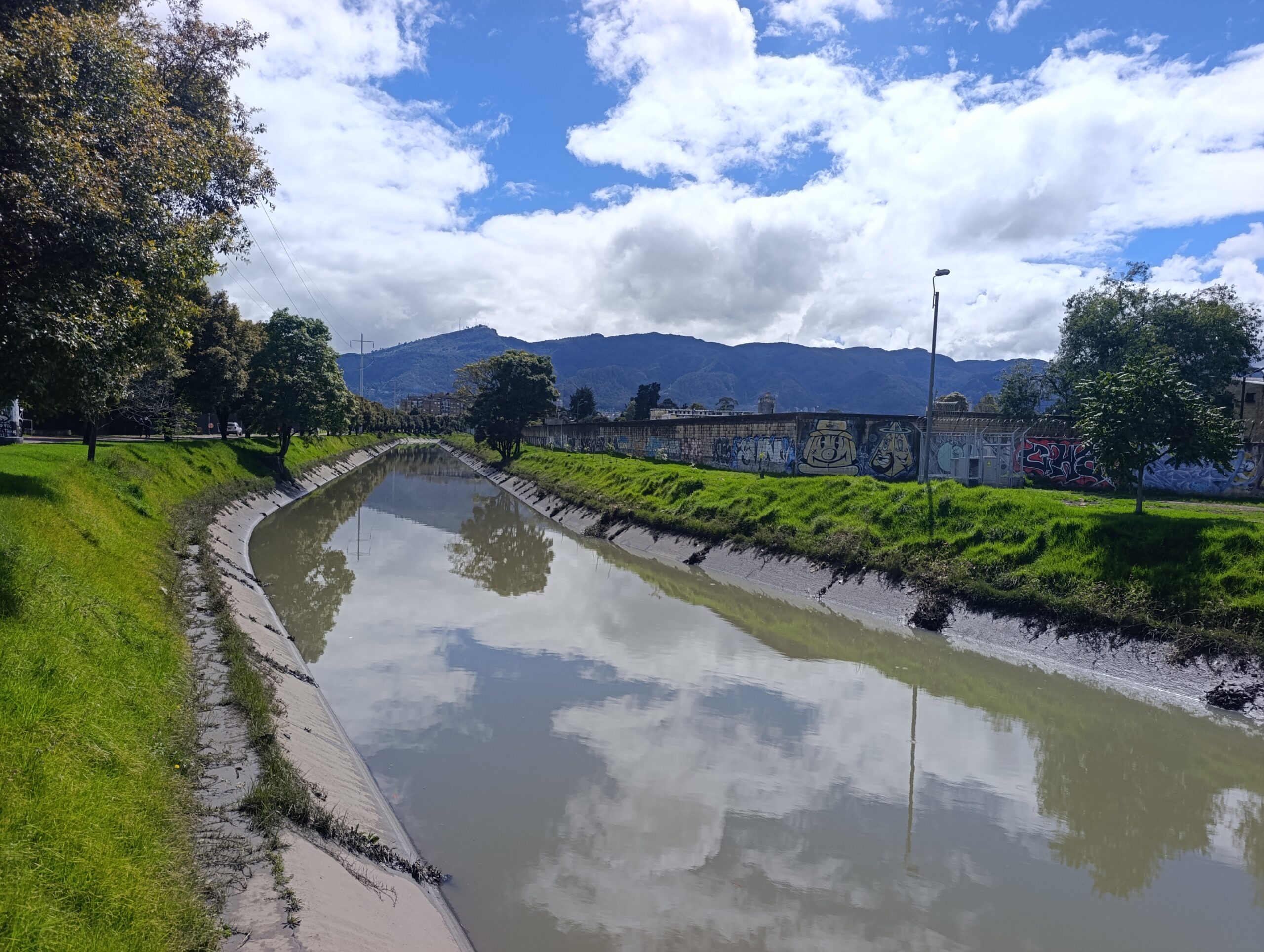 Historias del verde urbano: Río Negro: un canal que diversificó su ronda con 164 árboles y arbustos