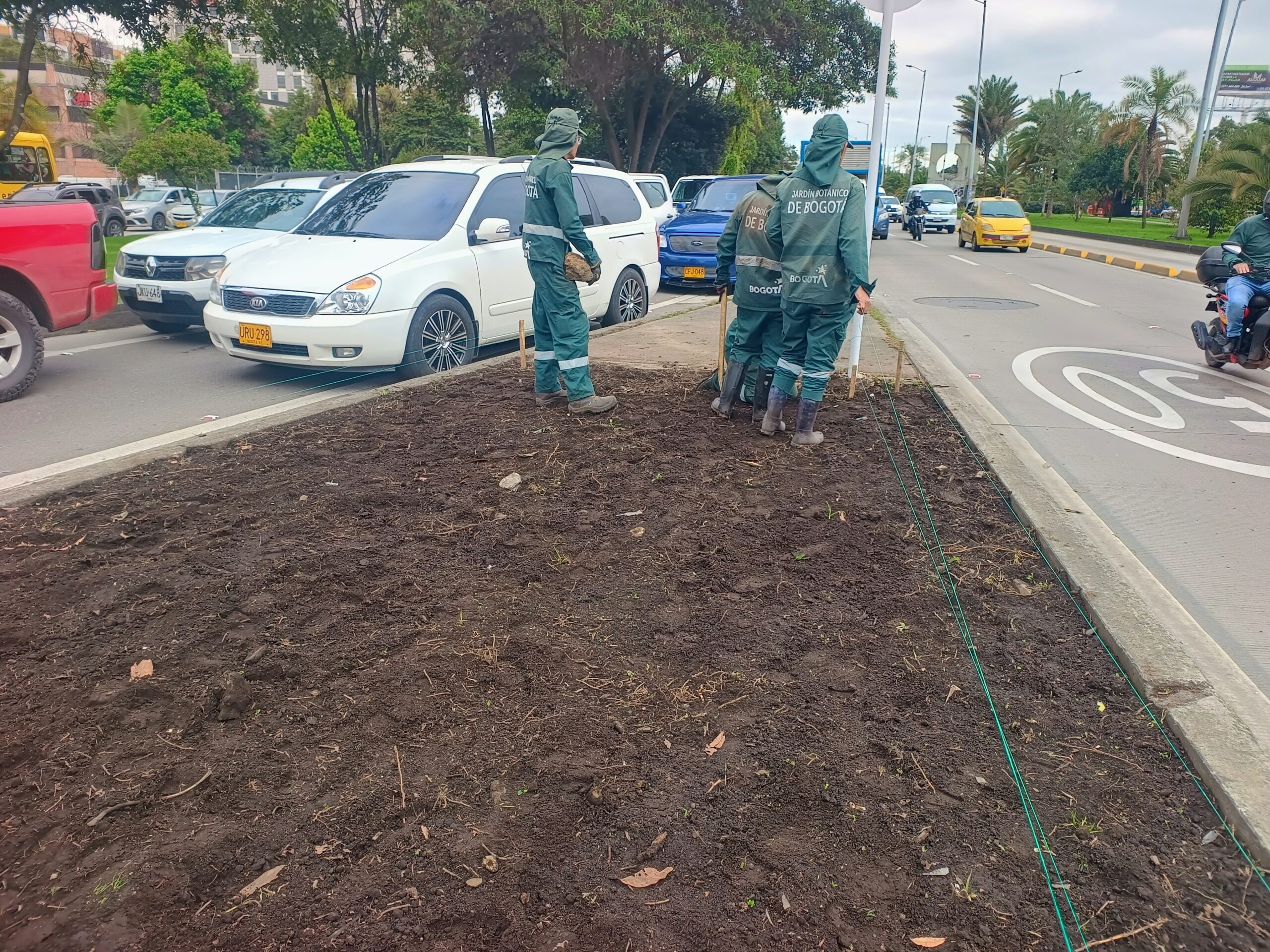 Historias del verde urbano: ¡Florece la avenida más verde y arbolada de Bogotá!