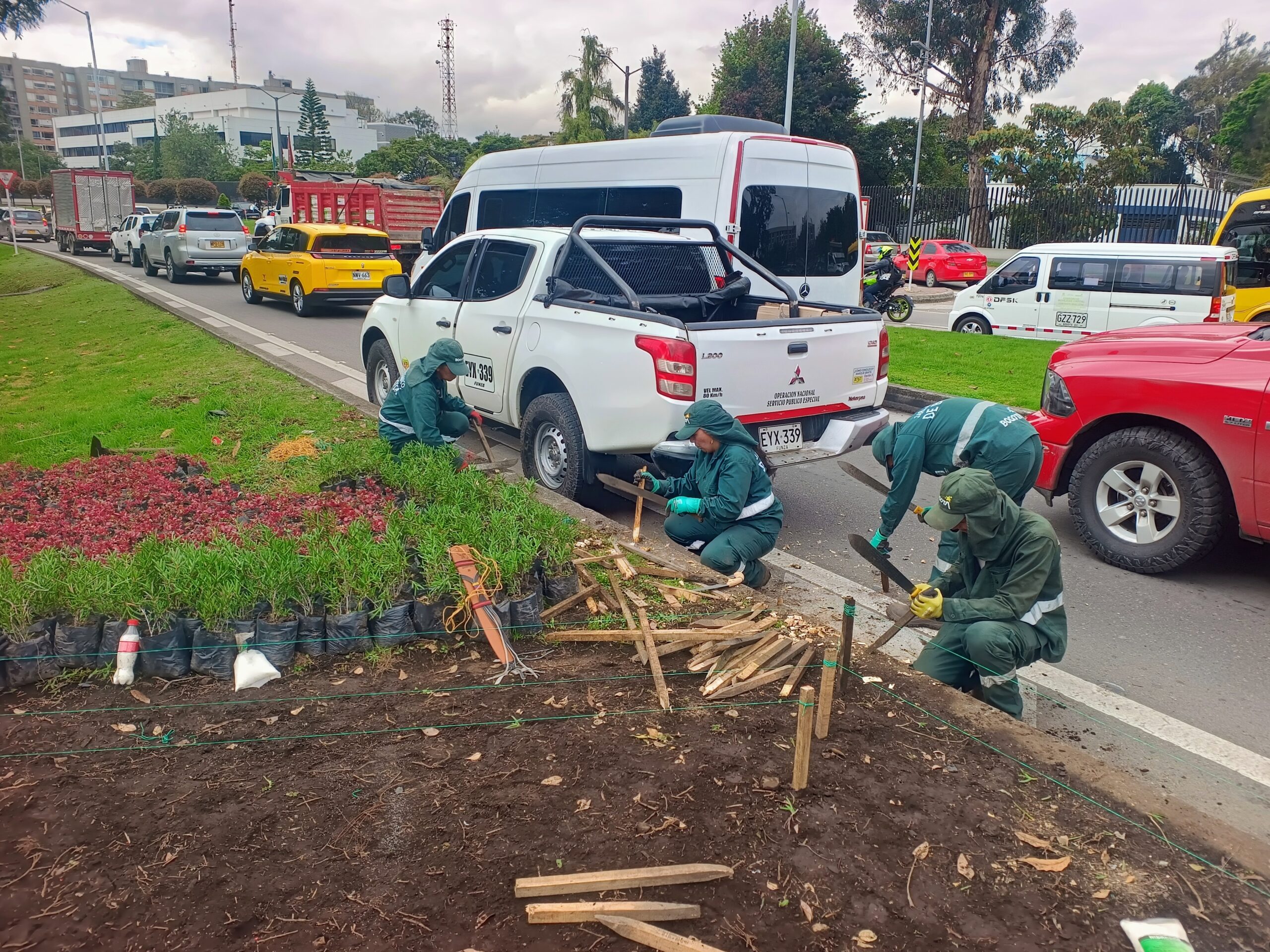 Historias del verde urbano: ¡Florece la avenida más verde y arbolada de Bogotá!