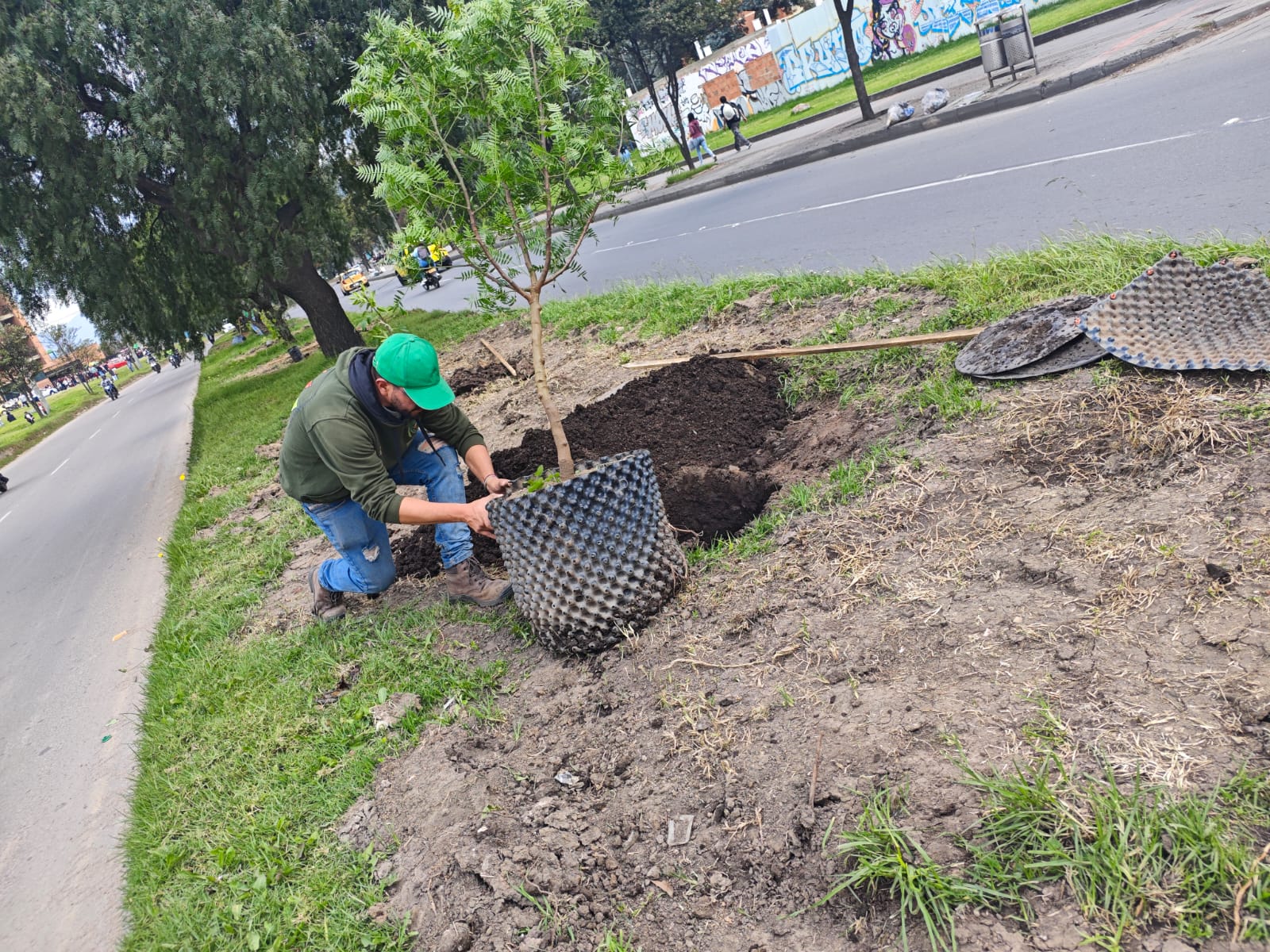 Historias del verde urbano: ¡Bogotá renaturaliza cinco de sus corredores viales!