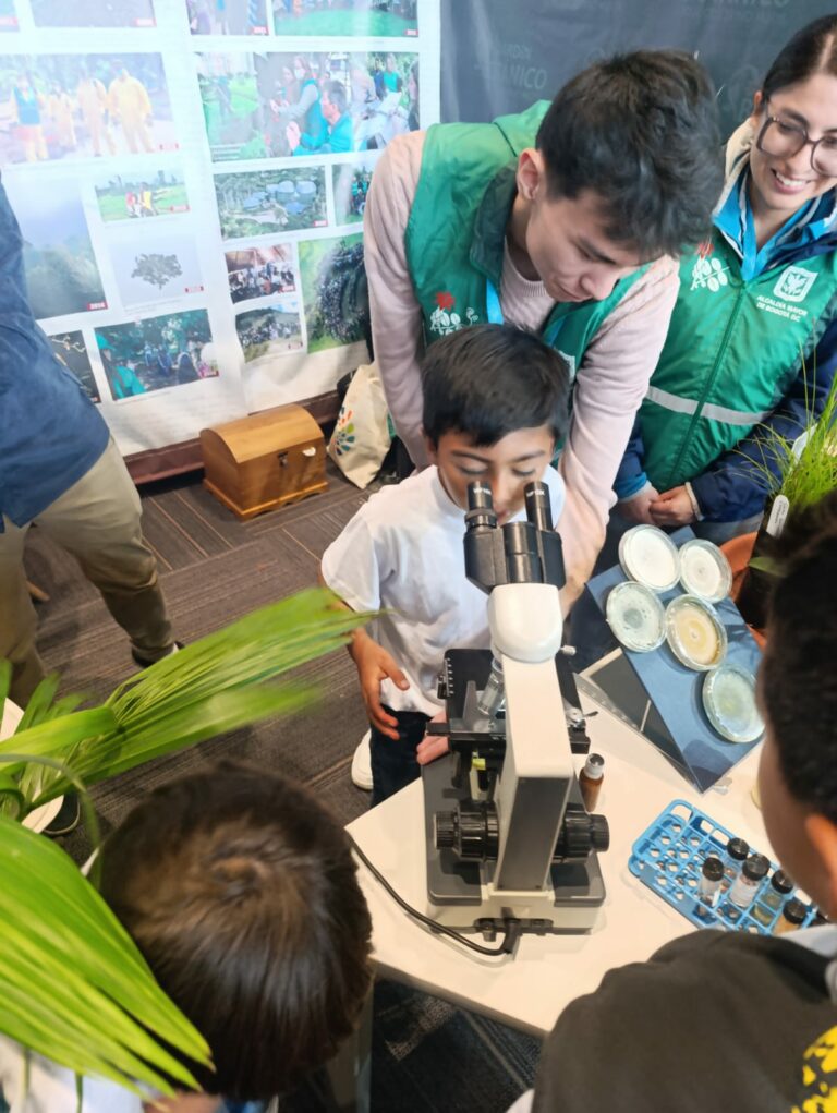 Tejiendo territorios: : La voz de las magnoliáceas suena tan fuerte como la voz de los niños y las niñas