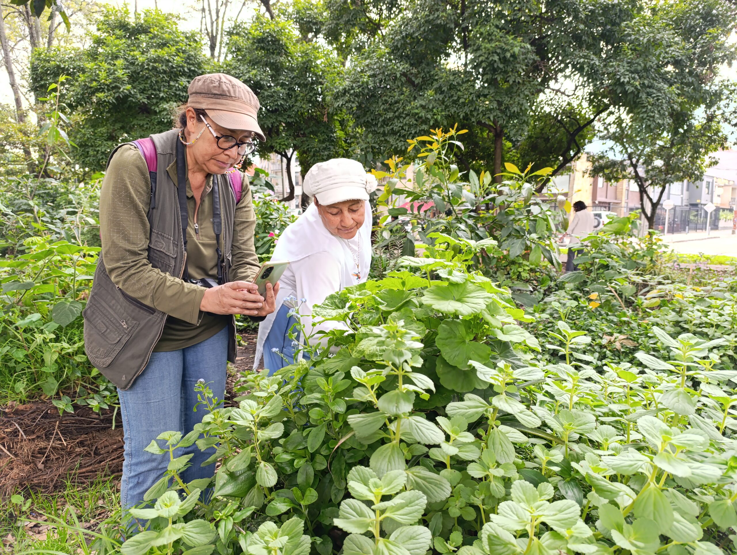 Historias del verde urbano: Proyecciones jardineras en el Parkway