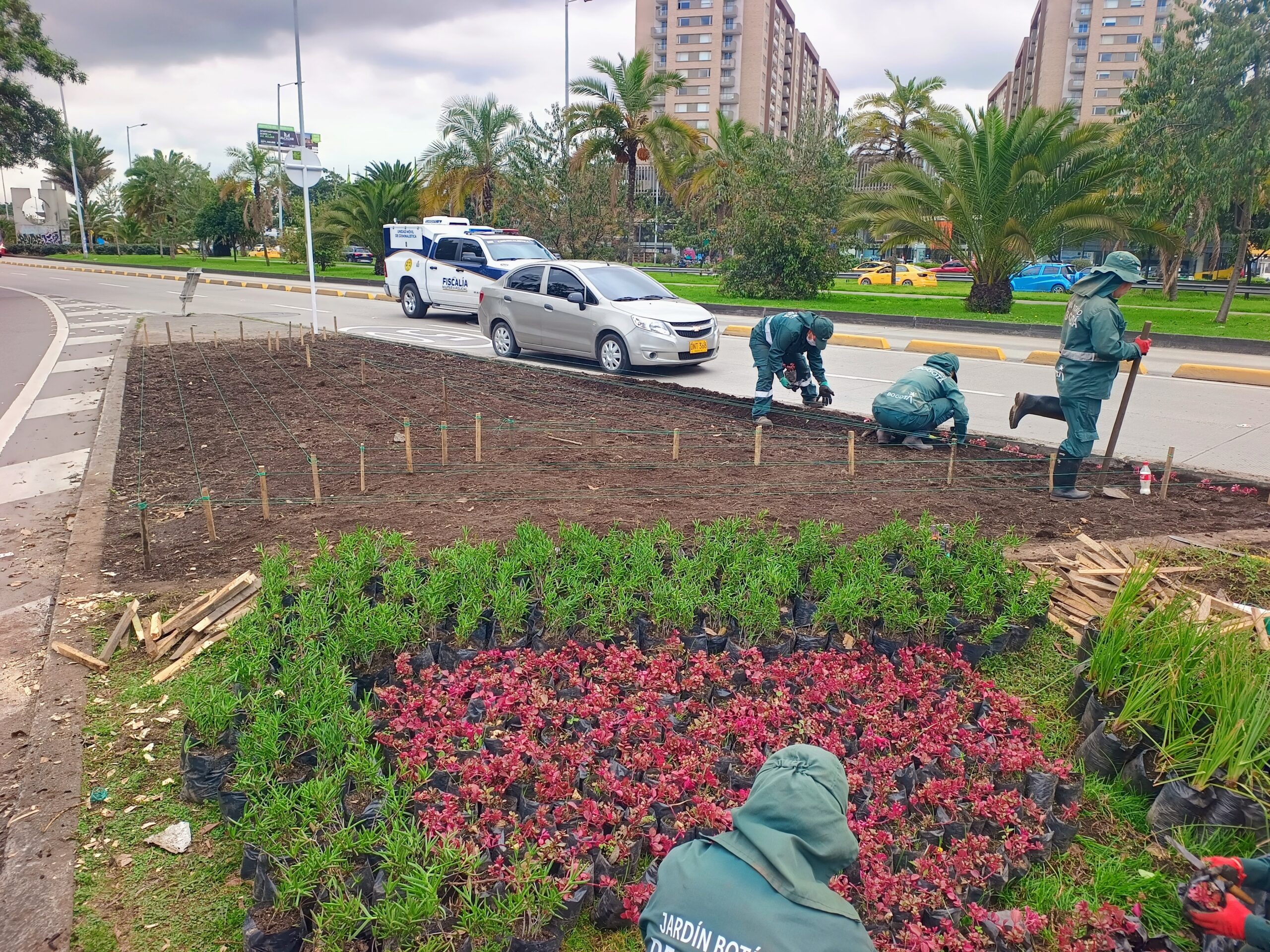 Historias del verde urbano: ¡Florece la avenida más verde y arbolada de Bogotá!