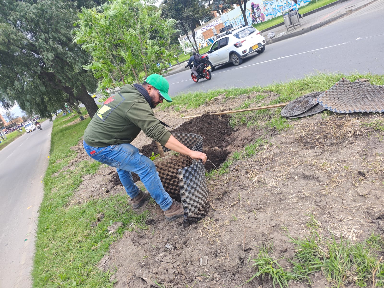 Historias del verde urbano: ¡Bogotá renaturaliza cinco de sus corredores viales!