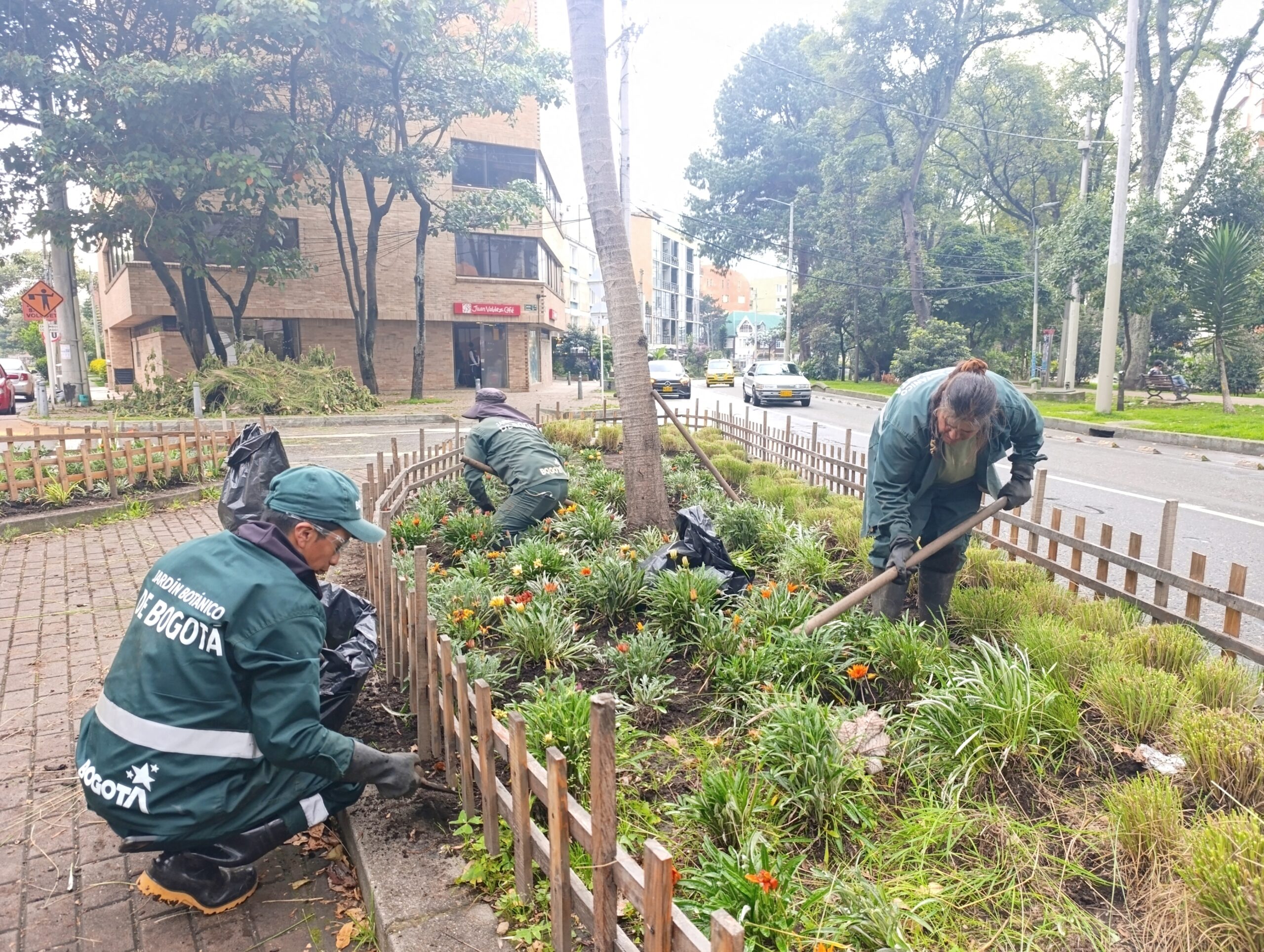 Historias del verde urbano: Proyecciones jardineras en el Parkway