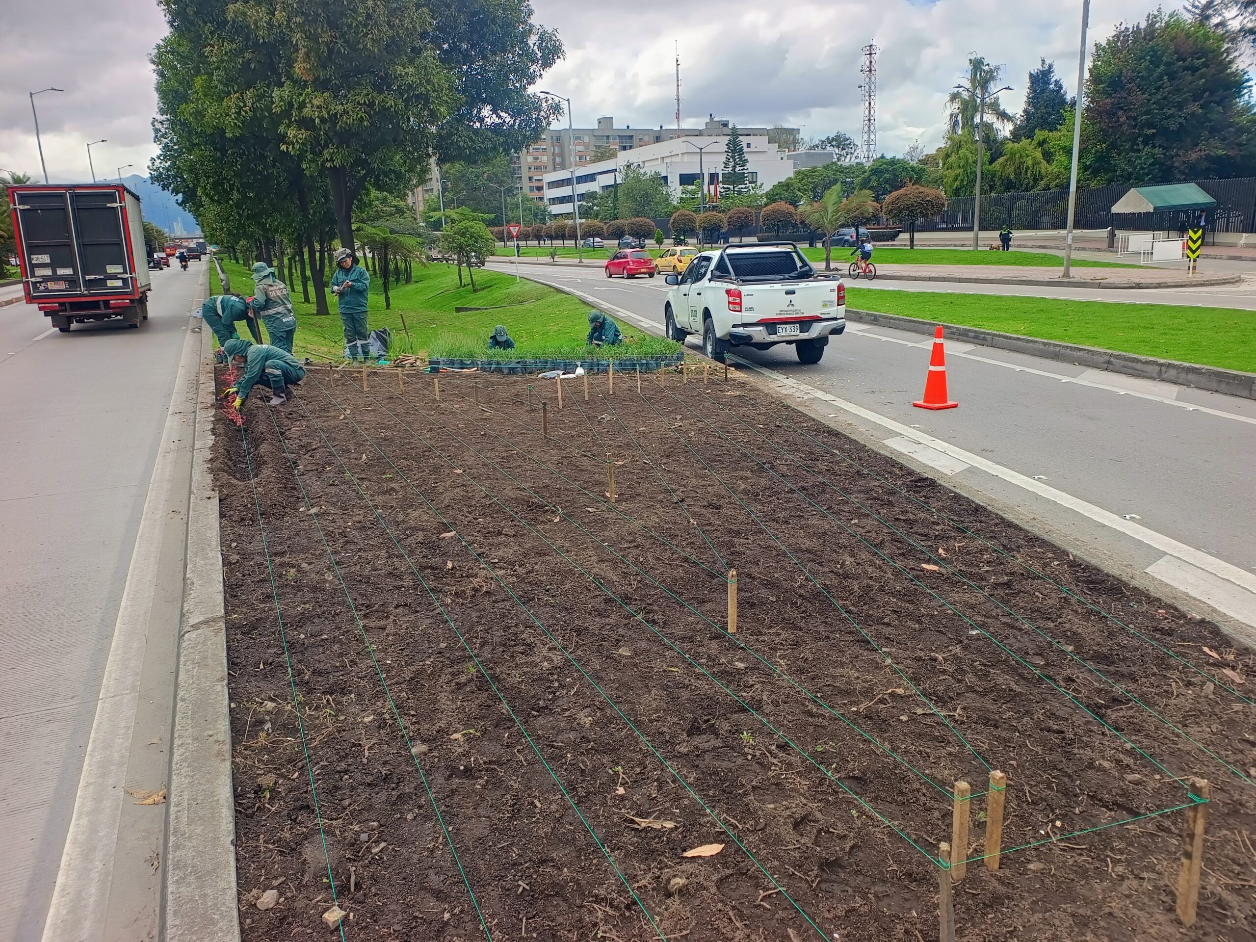 Historias del verde urbano: ¡Florece la avenida más verde y arbolada de Bogotá!