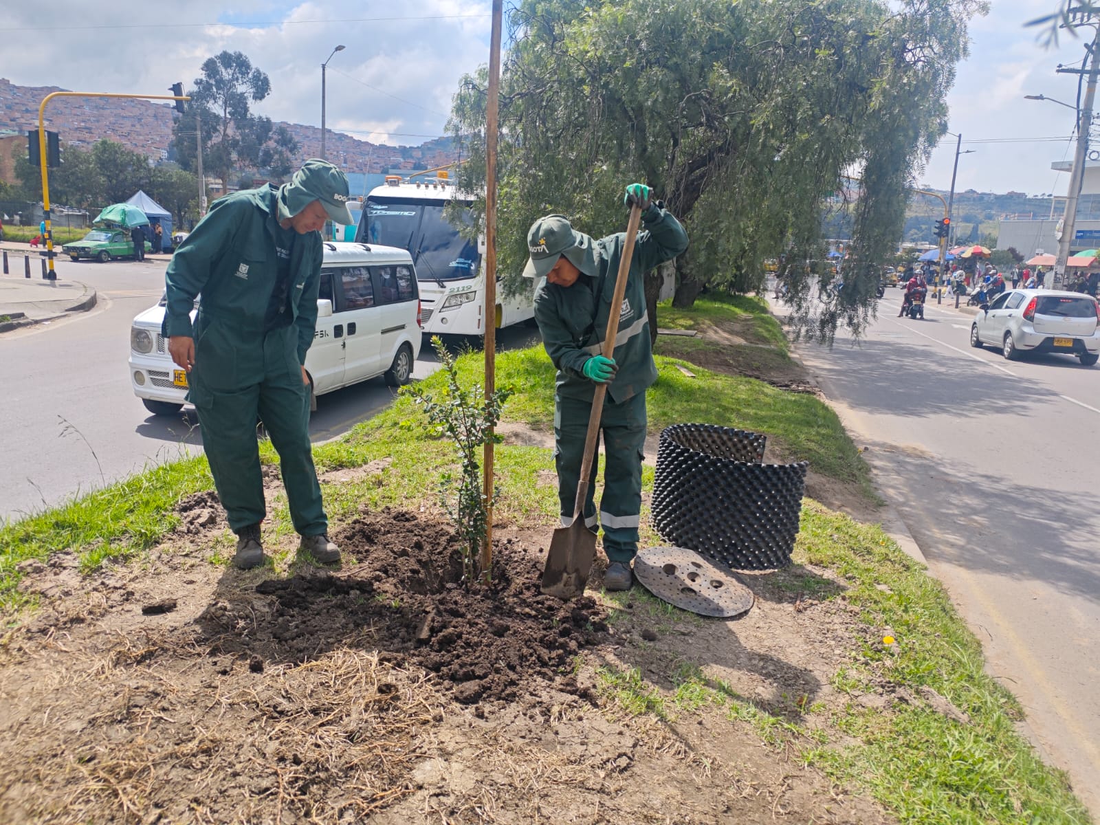 Historias del verde urbano: ¡Bogotá renaturaliza cinco de sus corredores viales!