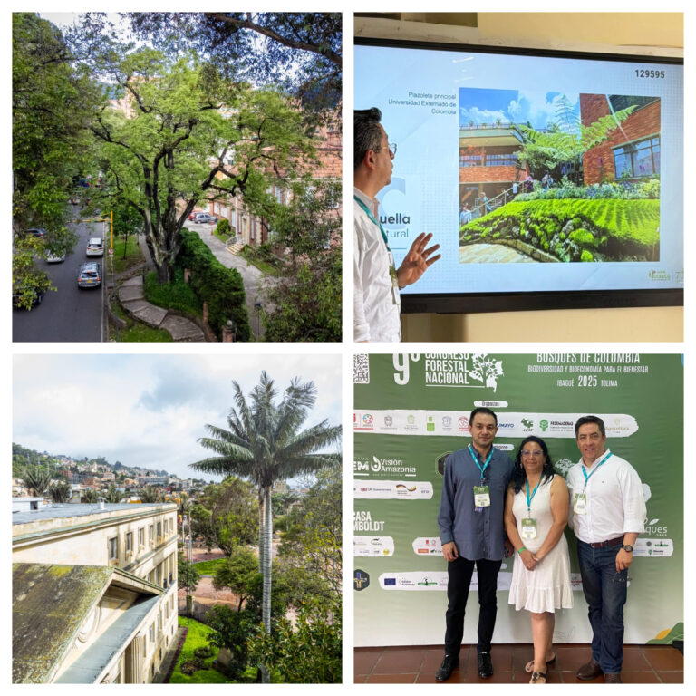 El Jardín Botánico de Bogotá presenta en Ibagué los avances relacionados con la gestión del arbolado urbano, en el marco del 9° Congreso Forestal Nacional