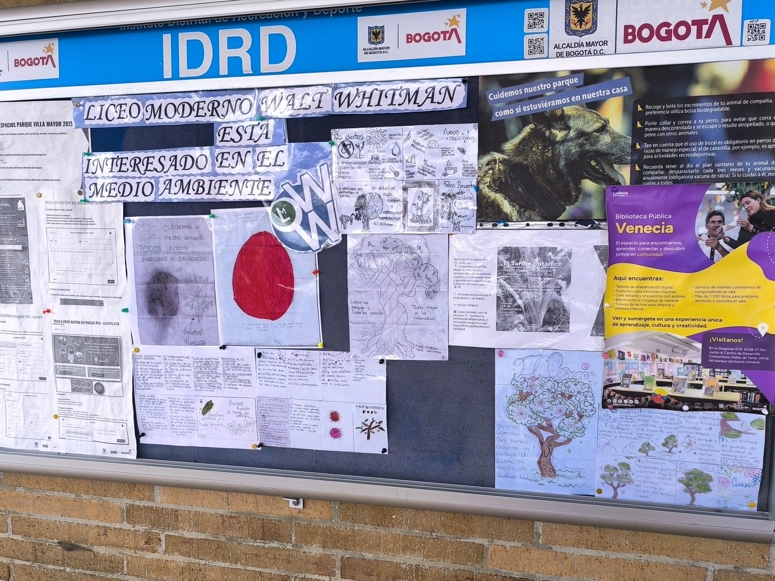 Tejiendo territorios: Los guardianes verdes del Parque Villa Mayor