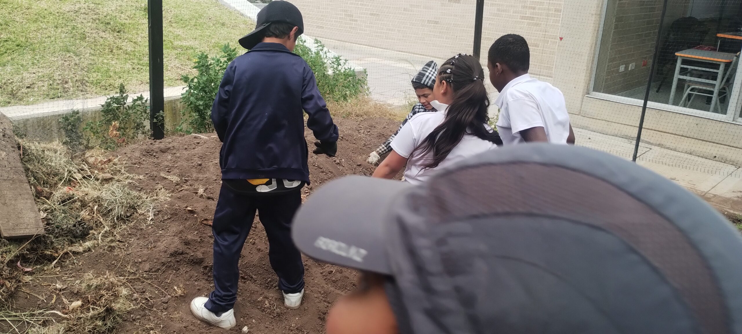 Tejiendo territorios: La profe papa