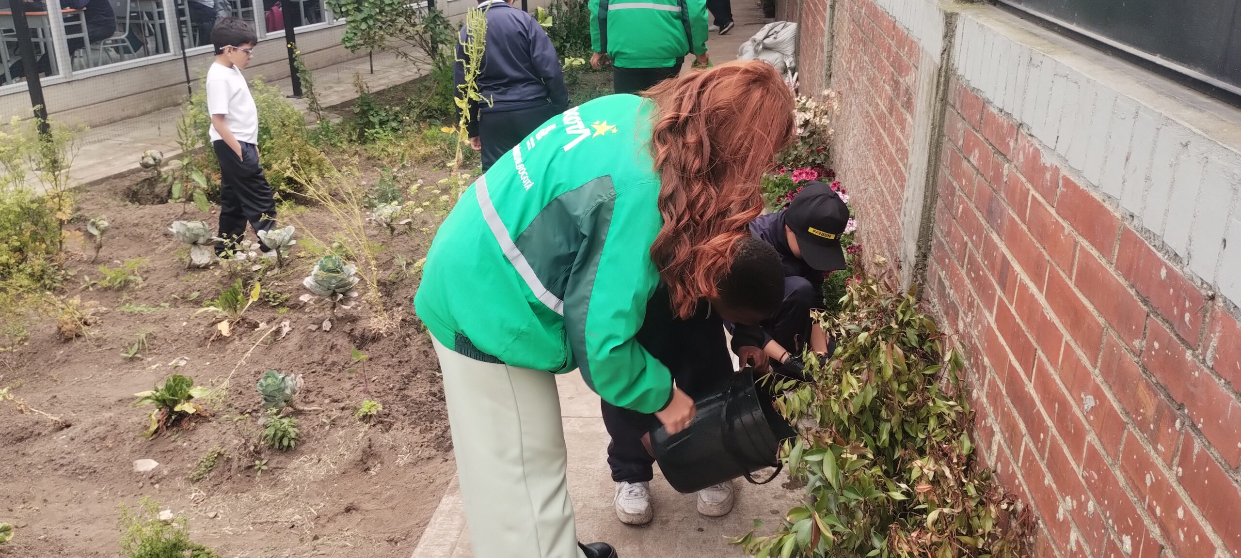 Tejiendo territorios: La profe papa