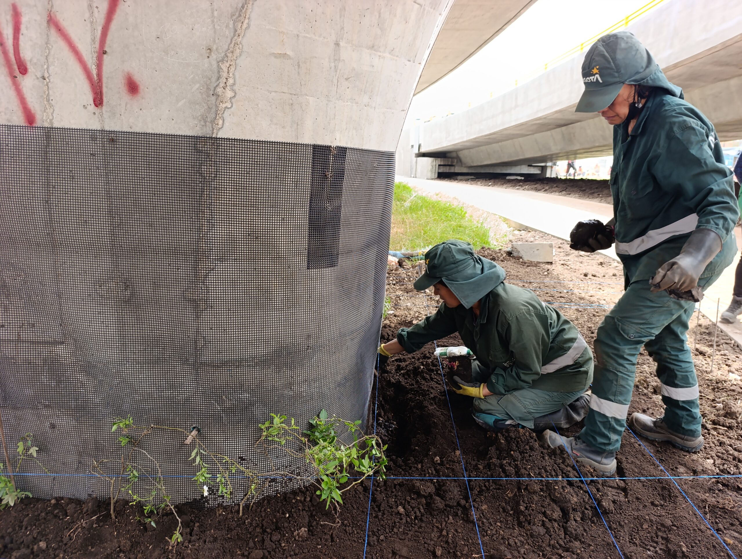 Historias del verde urbano: Los nuevos puentes vehiculares de la calle 127 con avenida Boyacá se visten con jardines biodiversos